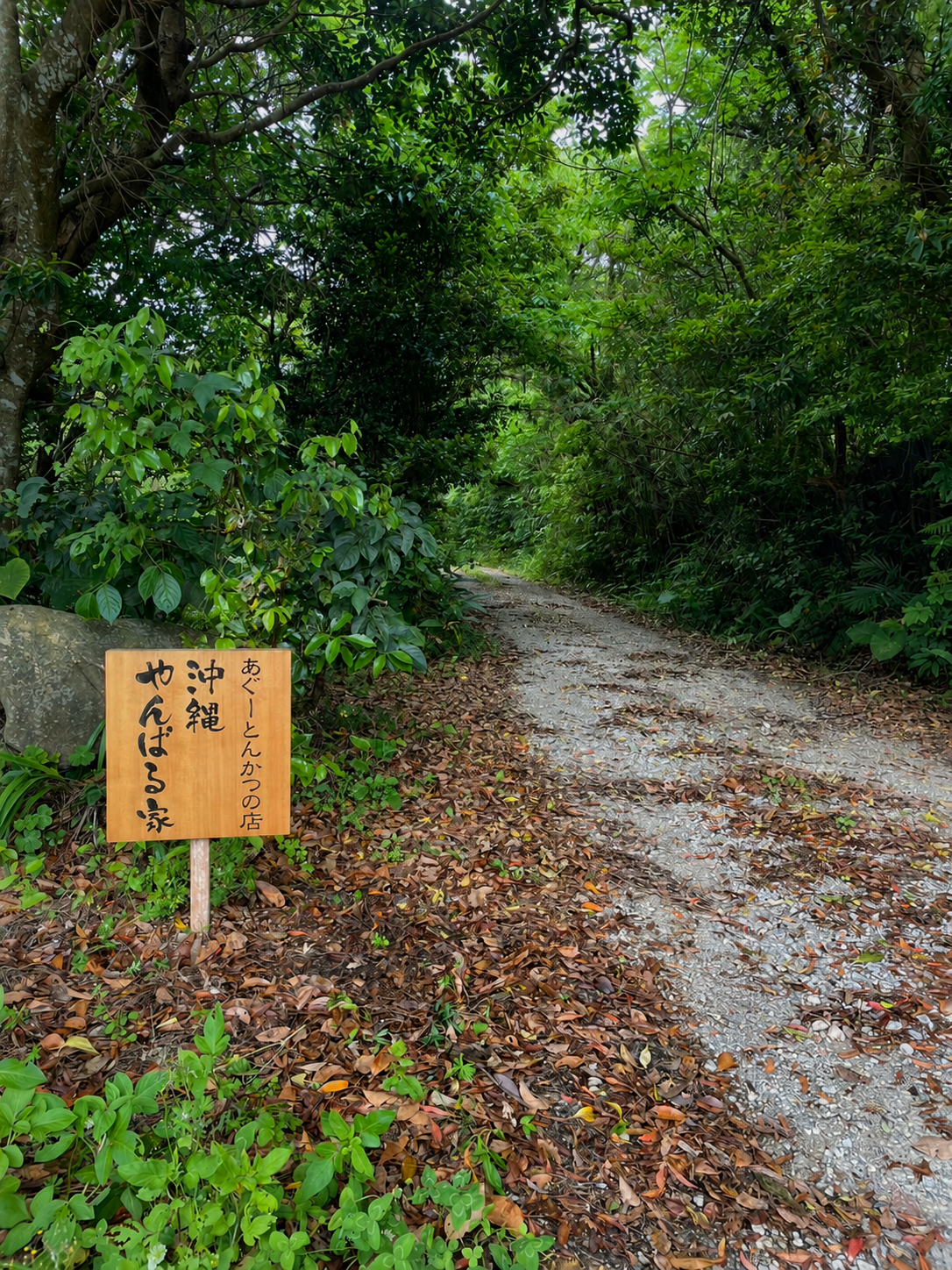 やんばるの森の入り口にあるやんばる家の看板